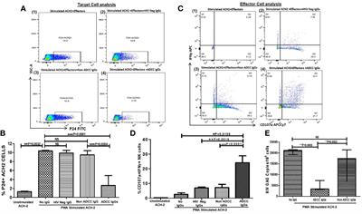 Anti-HIV-1 ADCC and HIV-1 Env Can Be Partners in Reducing <mark class="highlighted">Latent HIV</mark> Reservoir